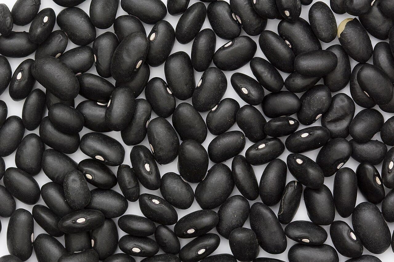 Dried Black Beans