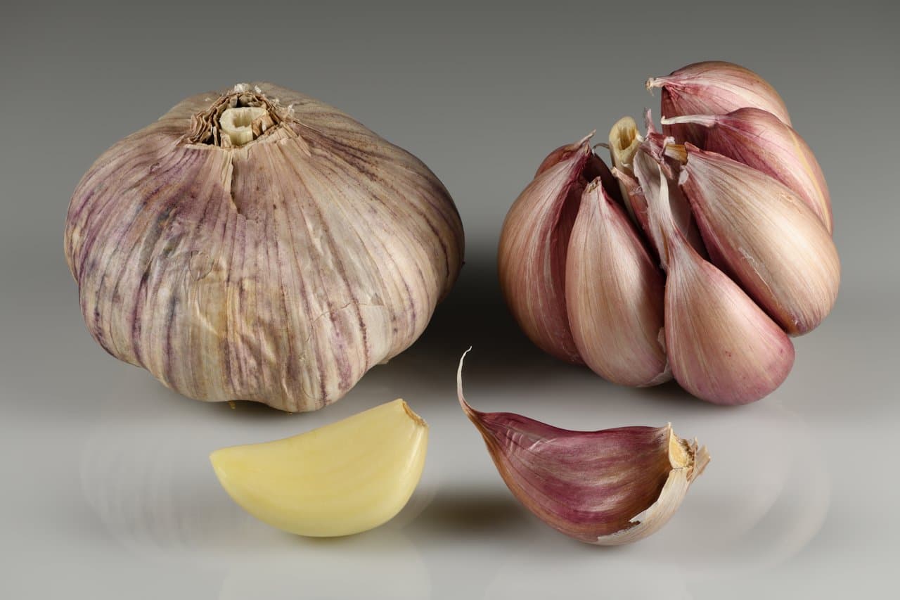 Fresh Garlic