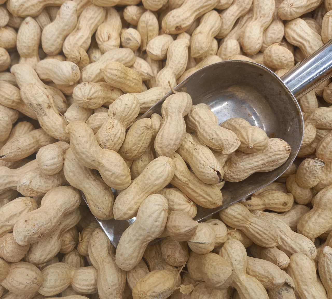 Raw Peanuts