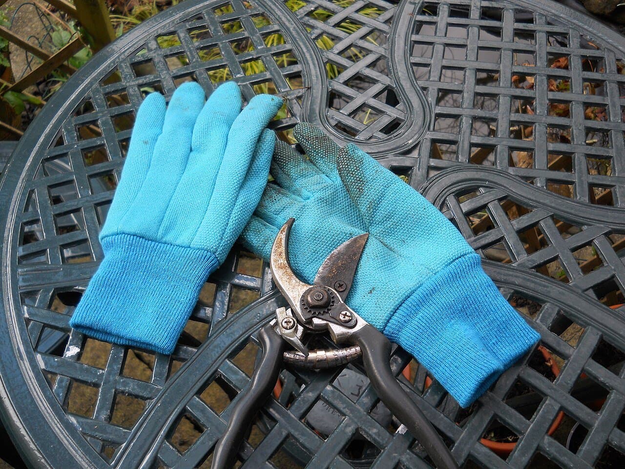 Pruning Shears