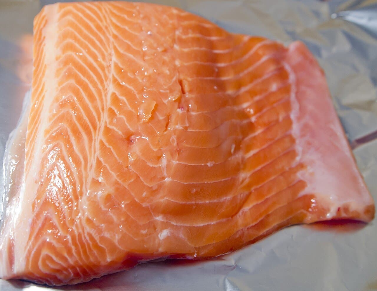 Fresh-caught Salmon