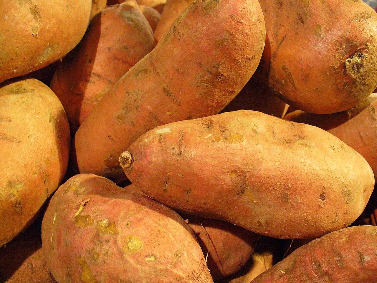 Garnet Sweet Potatoes