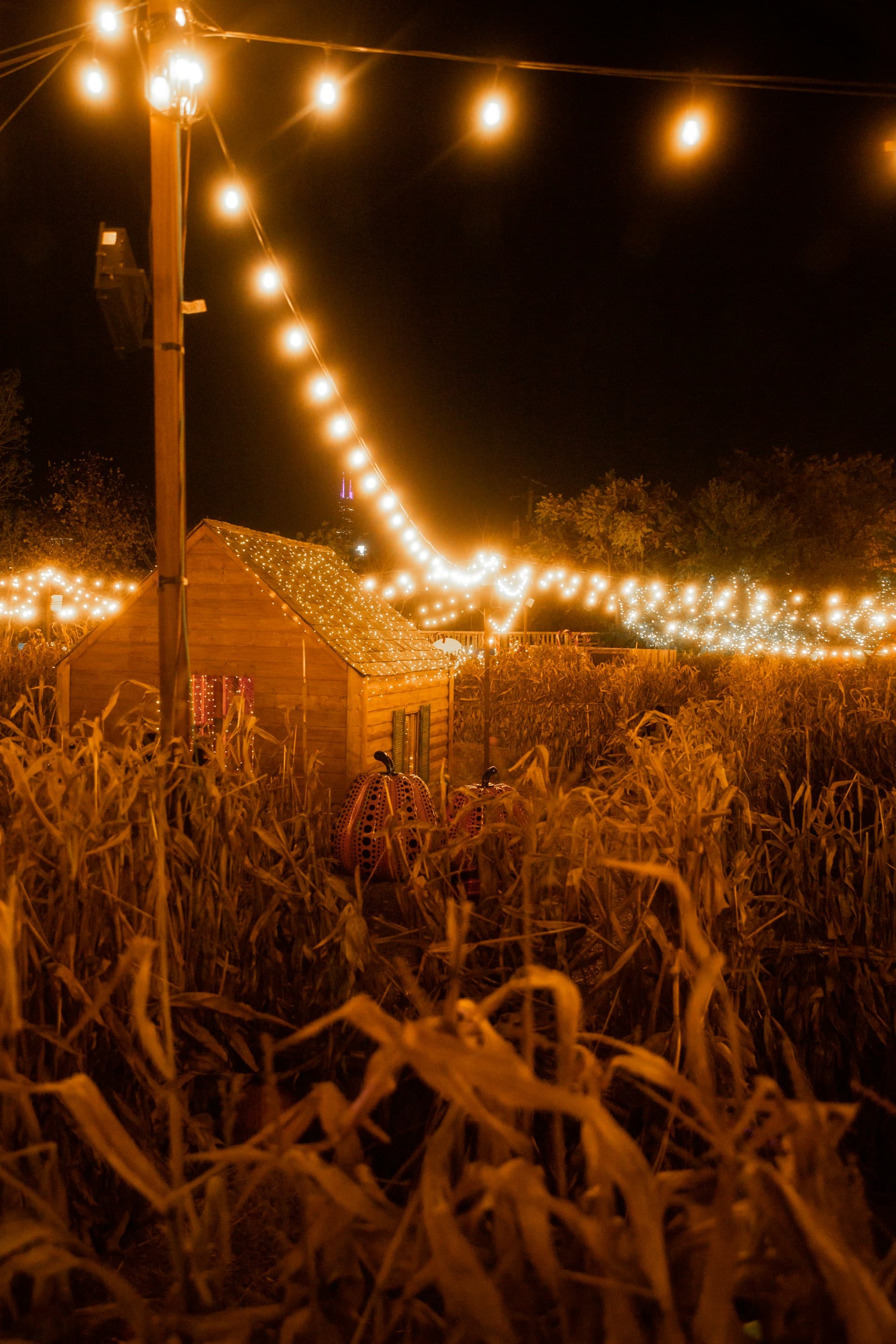 Organic farm background